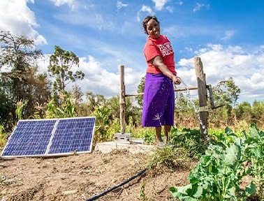 Solar Irrigation